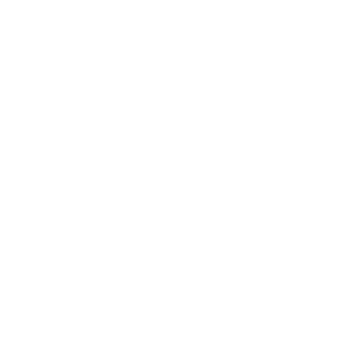 CO Soluciones IT