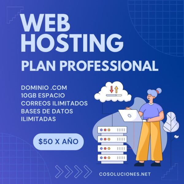 Plan Professional